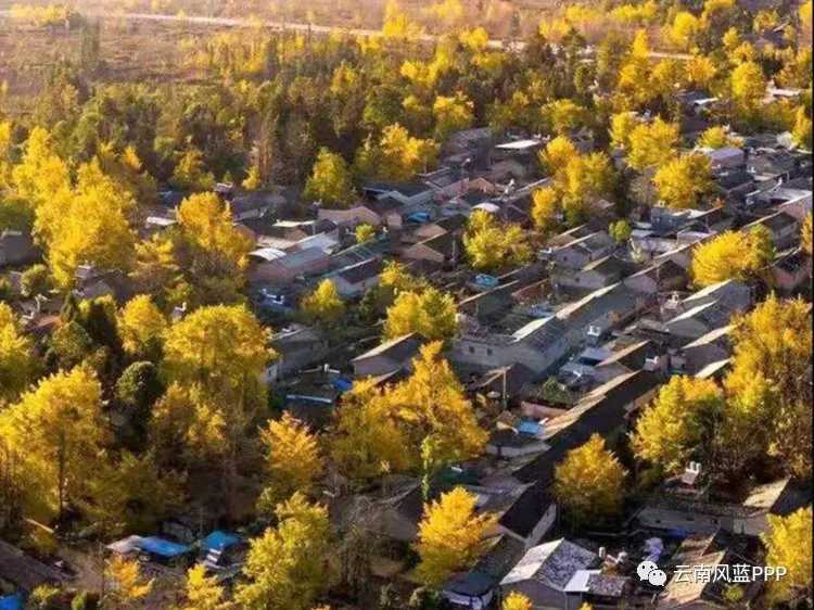 鲁甸地震恢复重建：住房因灾灭失 新购普通住宅免契税