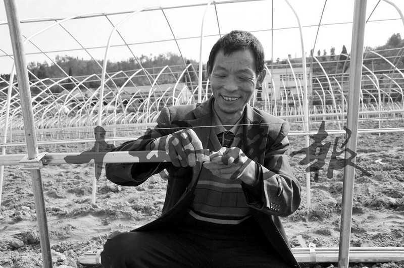 推动品种改良 秘鲁小伙在云南田间种蓝莓